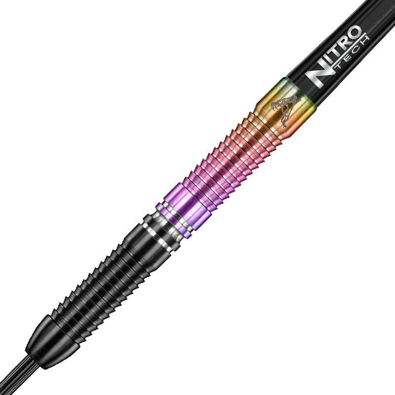 RedDragon noolekomplekt – Peter Wright World Champion SE – 23g - Image 2